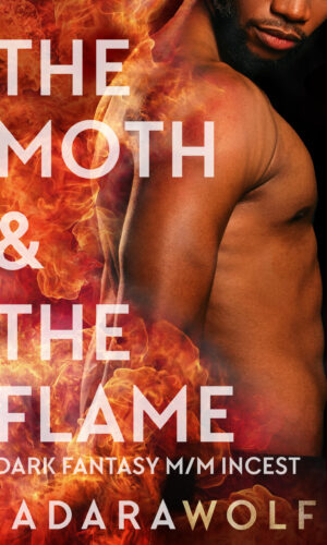 book cover of The Moth and the Flame by Adara Wolf, dark fantasy m/m