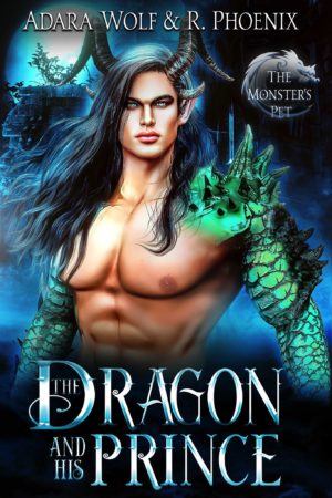 The Dragon and His Prince Paperback
