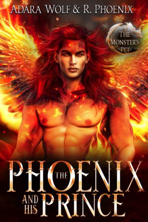 The Phoenix and His Prince Paperback