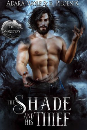 The Shade and His Thief Paperback